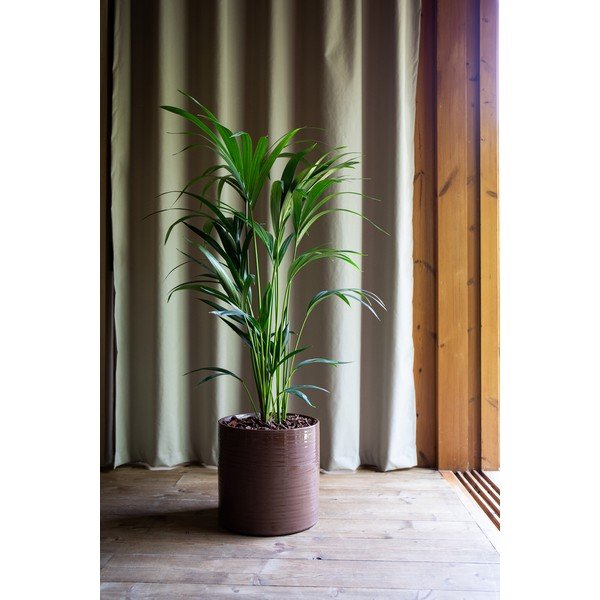 Iš keramikos rankų darbo gėlių vazono dangtelis ø 18 cm Fortuna – Artevasi-image-3