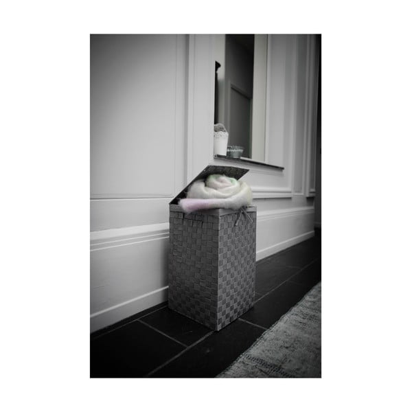 Iš tekstilės skalbinių krepšys 45 l Stan – Compactor-image-3