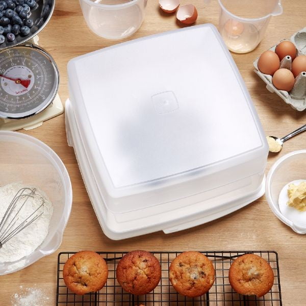 Indas su dangteliu tortams Addis Seal Tight Cake Store, 14 l-image-1