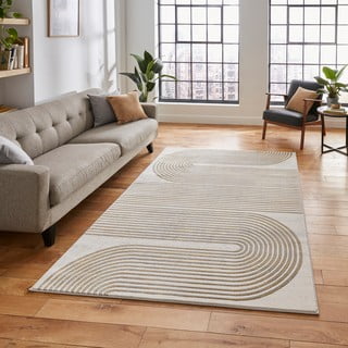 Pilkos/aukso spalvos kilimas 220x160 cm Apollo - Think Rugs