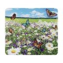 Iš grūdinto stiklo aksesuaras viryklei 50x56 cm – Maximex