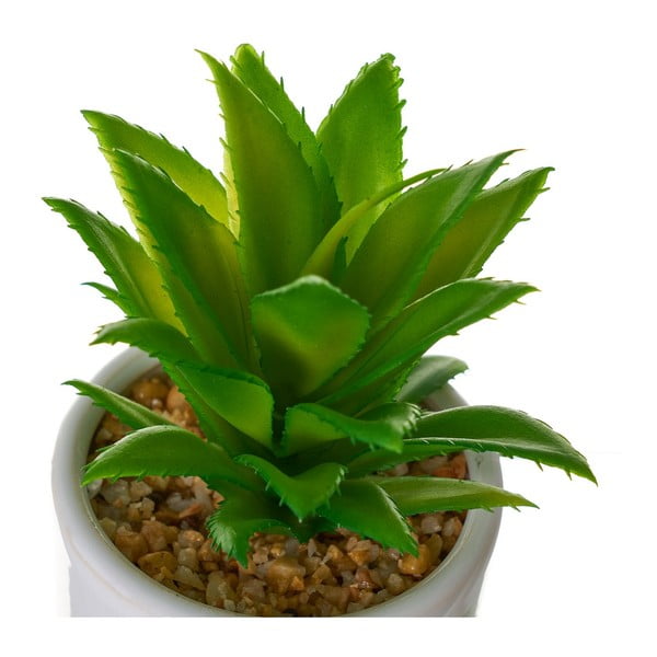 Dirbtinės gėlės 4 vnt. Cactus – Casa Selección-image-3