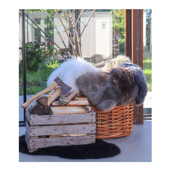 Pilka avikailis House Nordic-image-2