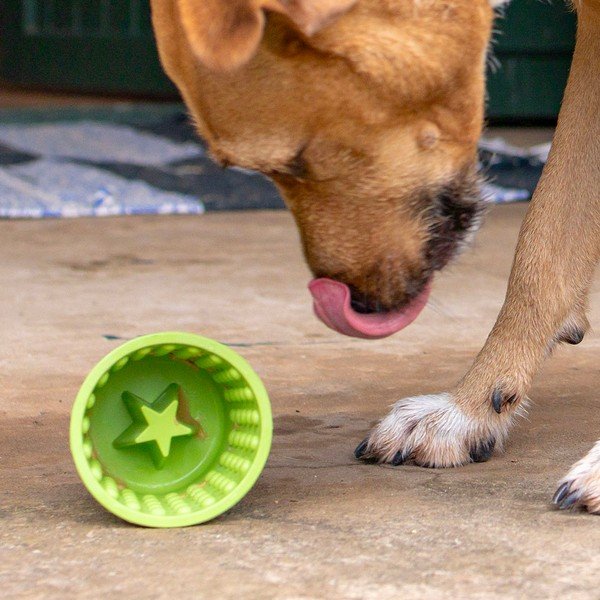 Laižymo dubuo Yoggie Pot Green – LickiMat-image-1