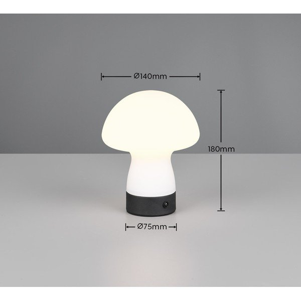 Matinės baltos spalvos stalinis šviestuvas LED (aukštis 18 cm) su stiklo gaubtu Dooley – Reality-image-4