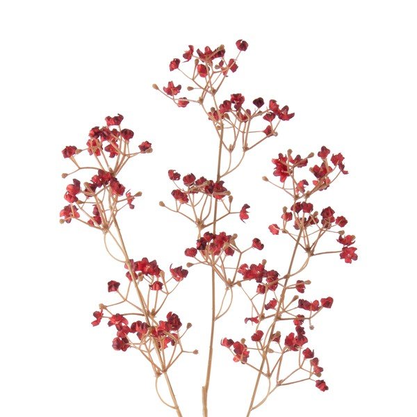 Dirbtinė gėlė (aukštis 59 cm) Babybreath – PT LIVING-image-1