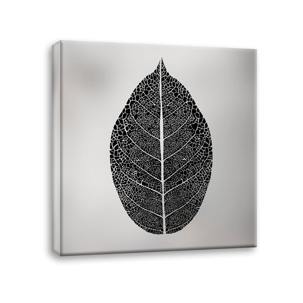 Vaizdas ant drobės Styler Silver Leaf, 60 x 60 cm-image-2
