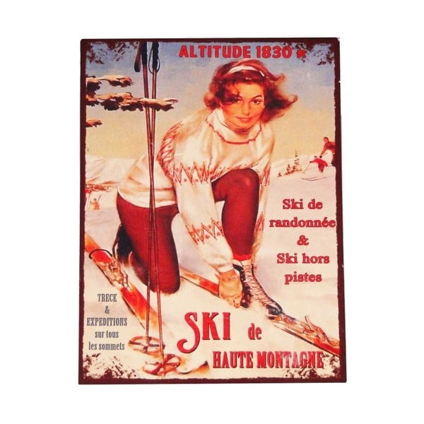 Iš metalo ženklas 25x33 cm Ski – Antic Line