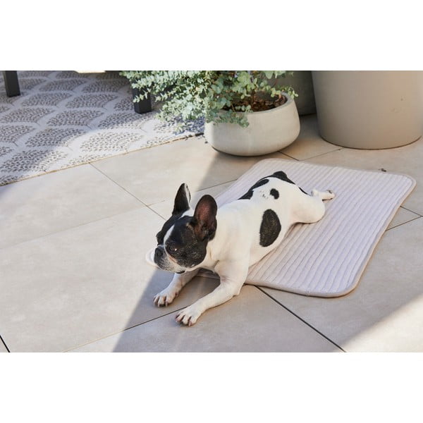 Iš medvilnės pledas pilkos spalvos šuniui 90x120 cm Onda Pebble L – MiaCara-image-3