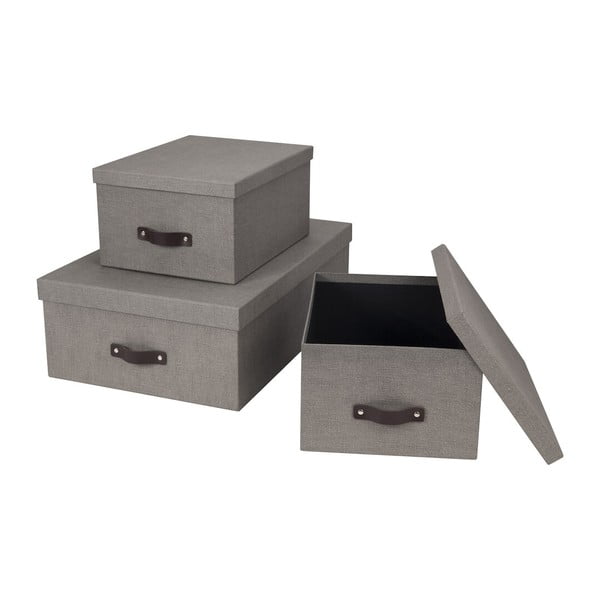 Daiktadėžės su dangčiu 3 vnt. Inge – Bigso Box of Sweden-image-3