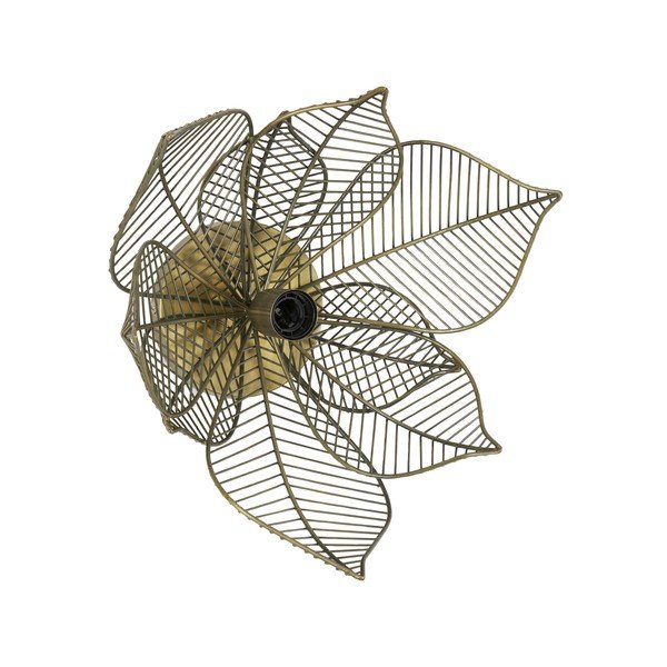 Bronzos spalvos sieninis šviestuvas Pavas - Light & Living