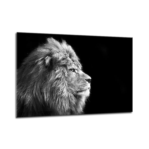 Vaizdas Styler Glasspik Drobė Gyvūnai Liūtas, 70 x 100 cm