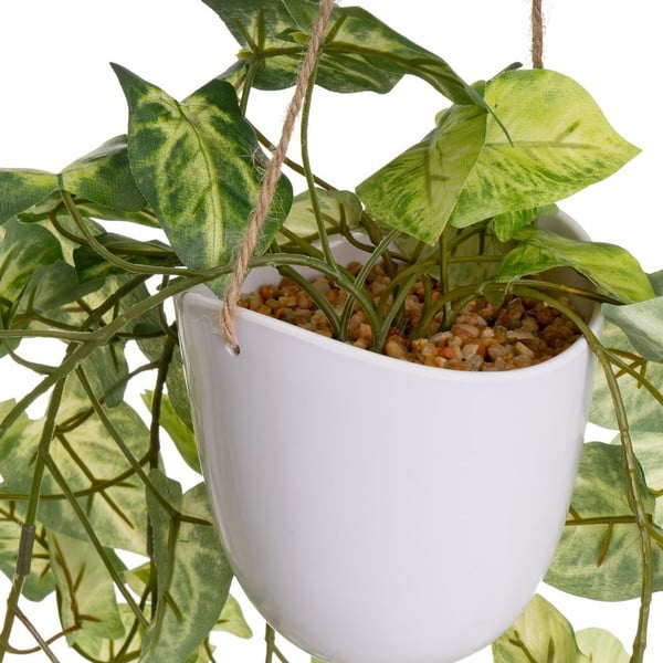 Dirbtiniai augalai 2 vnt. (aukštis 55 cm) – Casa Selección-image-2