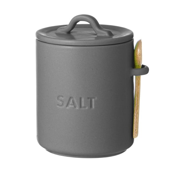 Iš keramikos maisto laikymo indas druskai Essentials – Ladelle