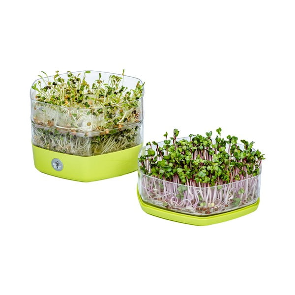 Iš plastiko daiginimo konteineris ø 17 cm Mungo – Flower Lover-image-2