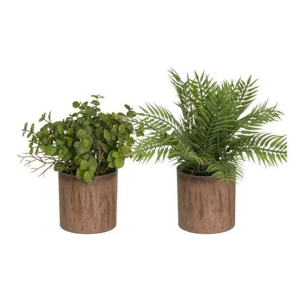Dirbtiniai augalai 2 vnt. (aukštis 22 cm) – Casa Selección