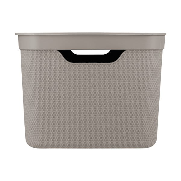 Plastikinė laikymo dėžė su dangčiu Deco - Rotho-image-4