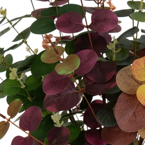 Dirbtinis eukaliptas 4 vnt. (aukštis 85 cm) – Casa Selección-image-4