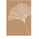 Plakatas 29x41 cm Gingko – Veronika Boulová