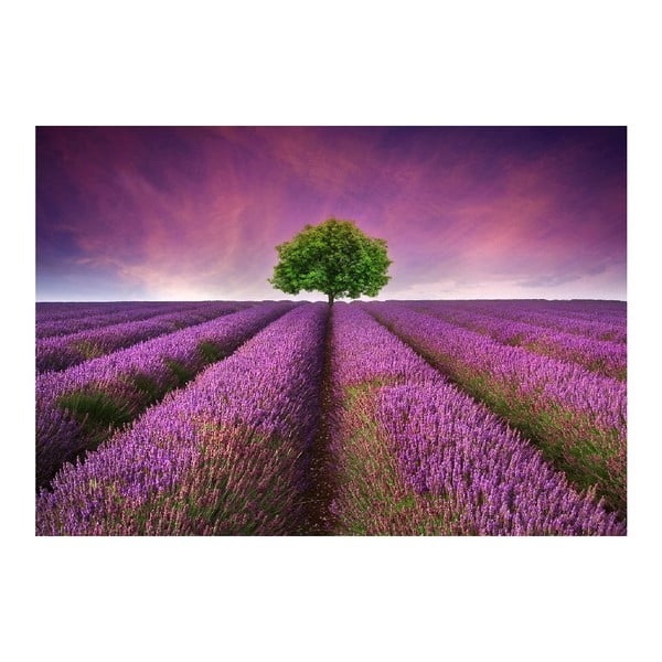 Vinilinis kilimėlis "Lavender Field", 52 x 75 cm