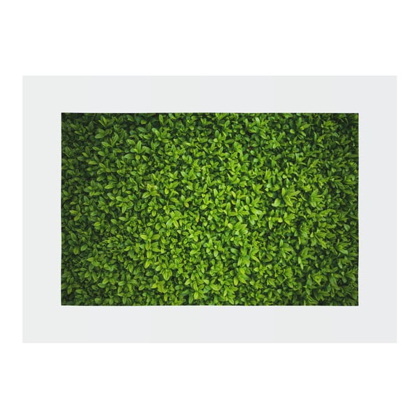 Žalias kilimas Oyo home Suzzo Grass, 140 x 220 cm-image-2