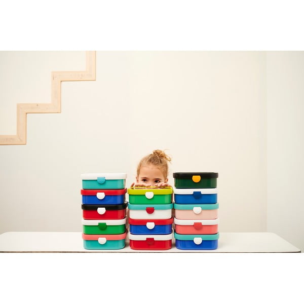 Vaikiška pietų dėžutė Flowers & butterflies – Mepal-image-4