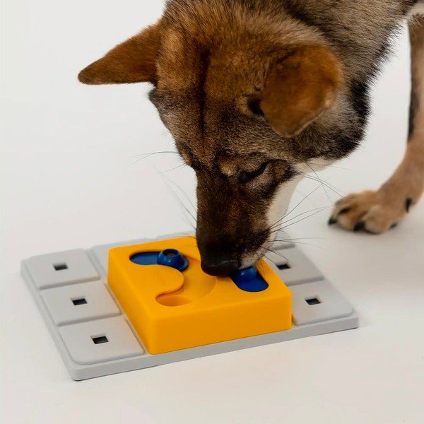 Šunų galvosūkis Kaya – Pawzler-image-2