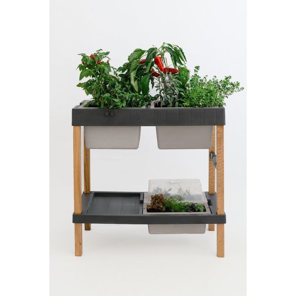 Pakelta sodo lysvė – Plastia-image-4