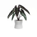 Vazonas iš keramikos ø 14 cm Diana – Artevasi