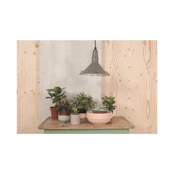 Salotinė PT KITCHEN Blush Grey-image-1