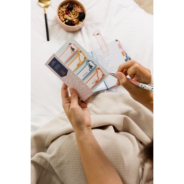 Lipdukai Cats - Busy B-image-1