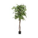 Dirbtinis fikusas (aukštis 180 cm) Ficus – Kave Home