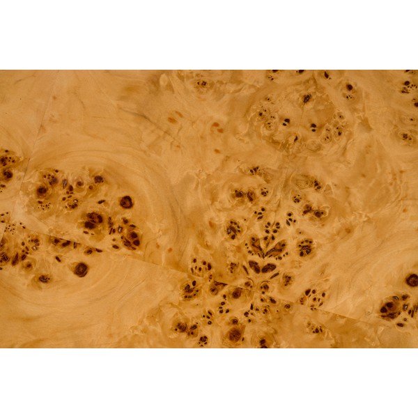 Apvalios formos šoninis stalas iš riešutmedžio ø 46 cm Quinn – Dutchbone-image-3