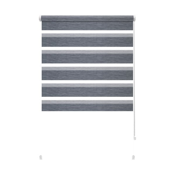 Antracito spalvos diena ir naktis roletai 80x150 cm Zebra Silvalin – Gardinia