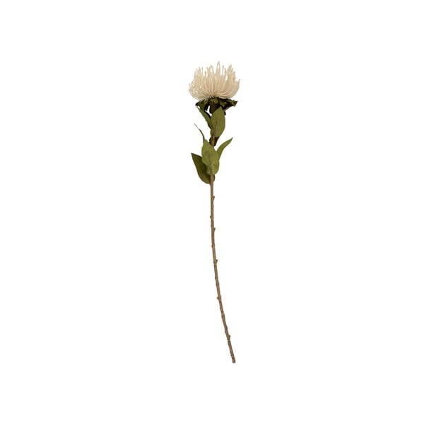 Dirbtinė gėlė (aukštis 60 cm) Protea – PT LIVING