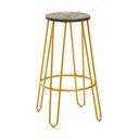 Auksinės spalvos/natūralios spalvos iš guobos masyvo baro taburetė (sėdynės aukštis 75 cm) District – Premier Housewares