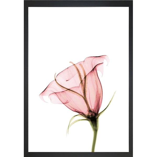 Paveikslas 24x29 cm Misty Bloom – Vavien Artwork