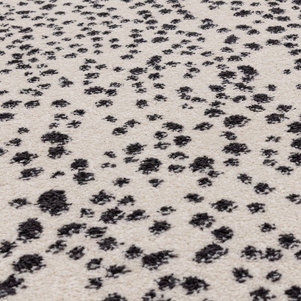 Kilimas juodos ir baltos spalvos 160x230 cm Muse – Asiatic Carpets-image-2