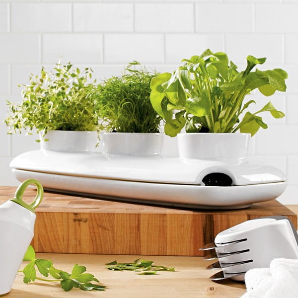 Vaistažolių vazonas "Sagaform Duo Herb-image-1