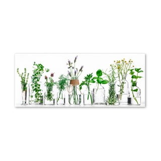 Paveikslas Styler Glasspik Herbs, 30 x 80 cm