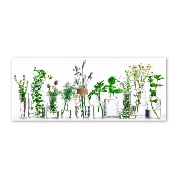 Paveikslas Styler Glasspik Herbs, 30 x 80 cm