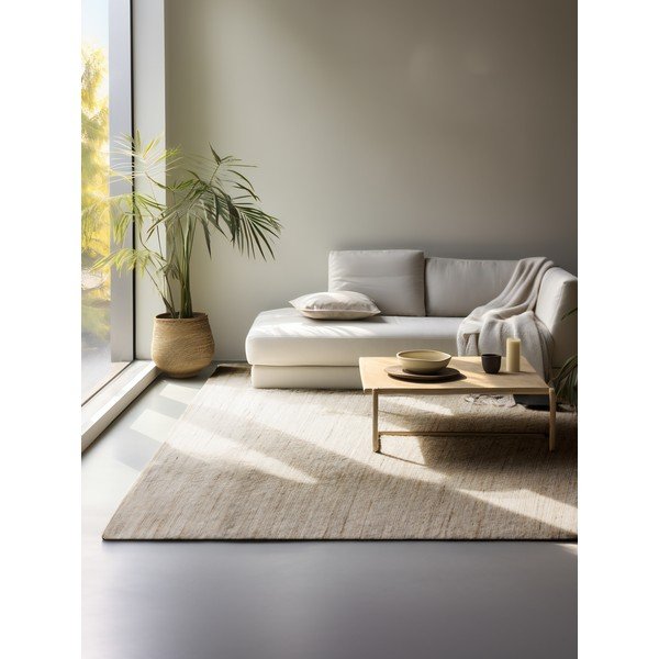Apverčiamas/rankų darbo šviesios natūralios spalvos iš džiuto mišinio kilimas 160x230 cm Dhaka – Hanse Home-image-1