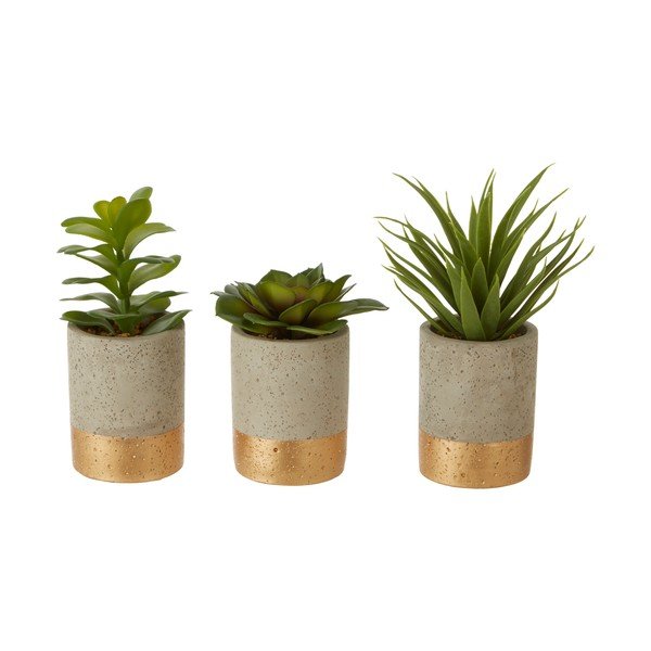 3 sukulentų rinkinys keraminiame Premier Housewares Fiori vazone-image-1