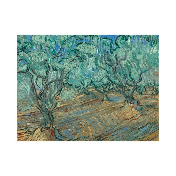 Vincentas van Gogas - Alyvų giraitė, 50x30 cm