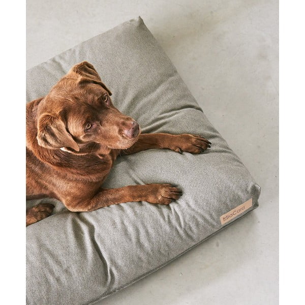 Čiužinys pilkos spalvos šuniui 60x80 cm Mare Rock S – MiaCara-image-3