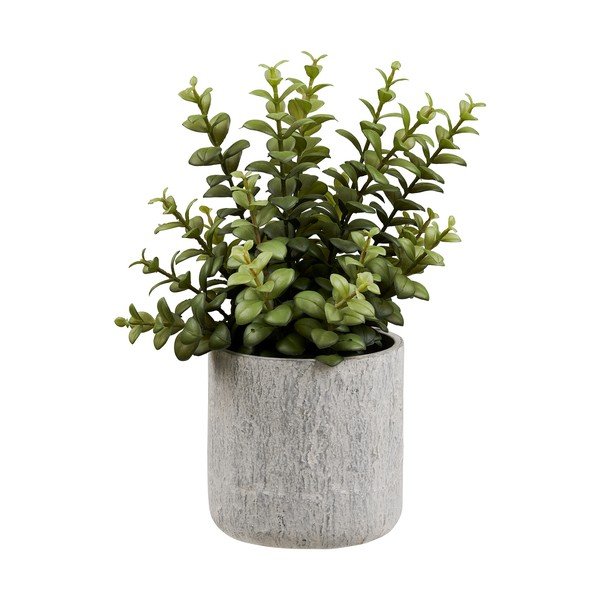Dirbtinė gėlė (aukštis 33,5 cm) Succulent – House Nordic