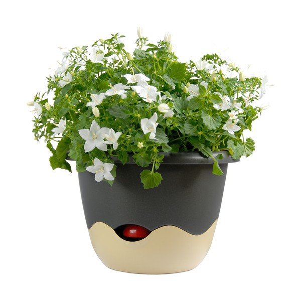 Mėlynos ir baltos spalvos pakabinamas savaiminio laistymo vazonas Plastia Mareta, 30 cm ilgio-image-3