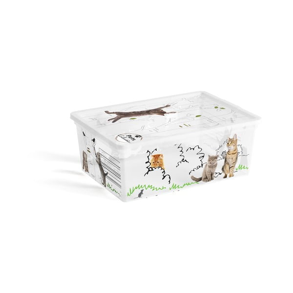 Baltos spalvos iš plastiko daiktadėžė su dangčiu 37x26x15 cm C Box Style – KIS