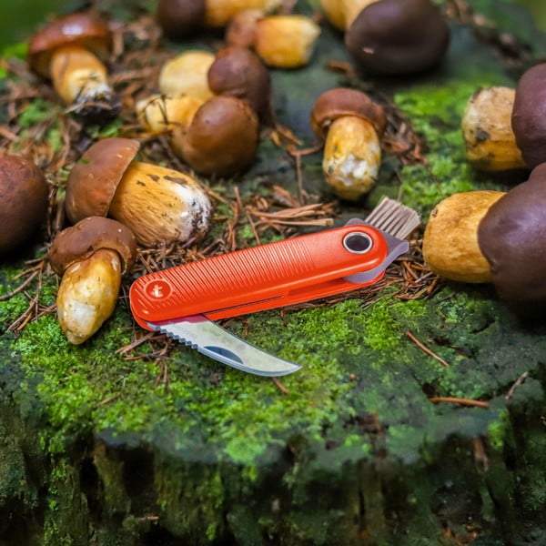 Kišeninis peilis Move – Tescoma-image-1