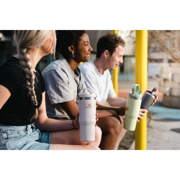 Termosas rožinės spalvos 890 ml – Stanley-image-1